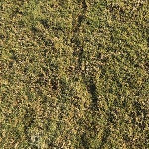 Meet your Posher, Kent